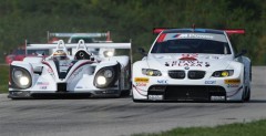 American Le Mans Series